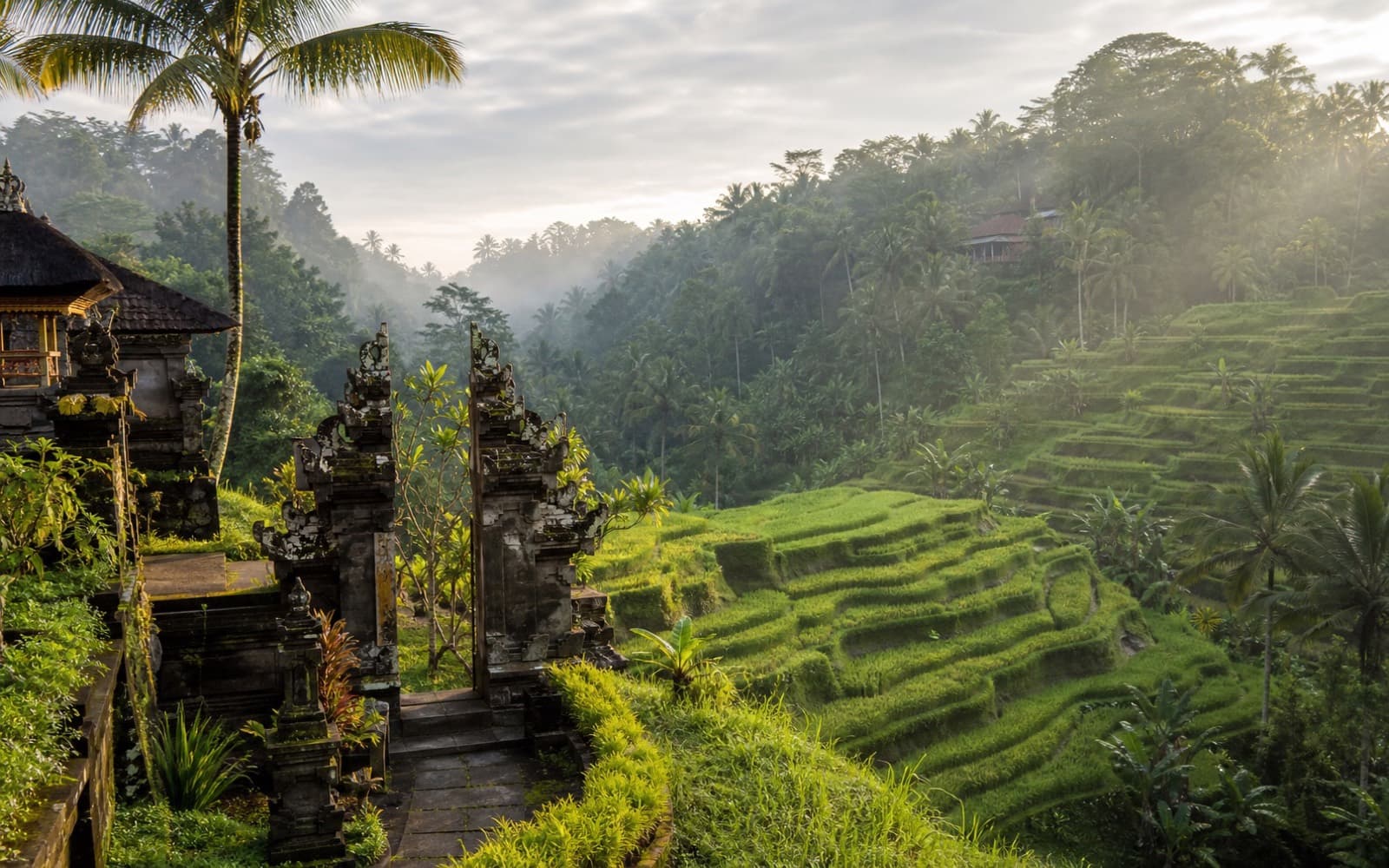 Balinese temple gate overlooking green rice terraces near Ubud