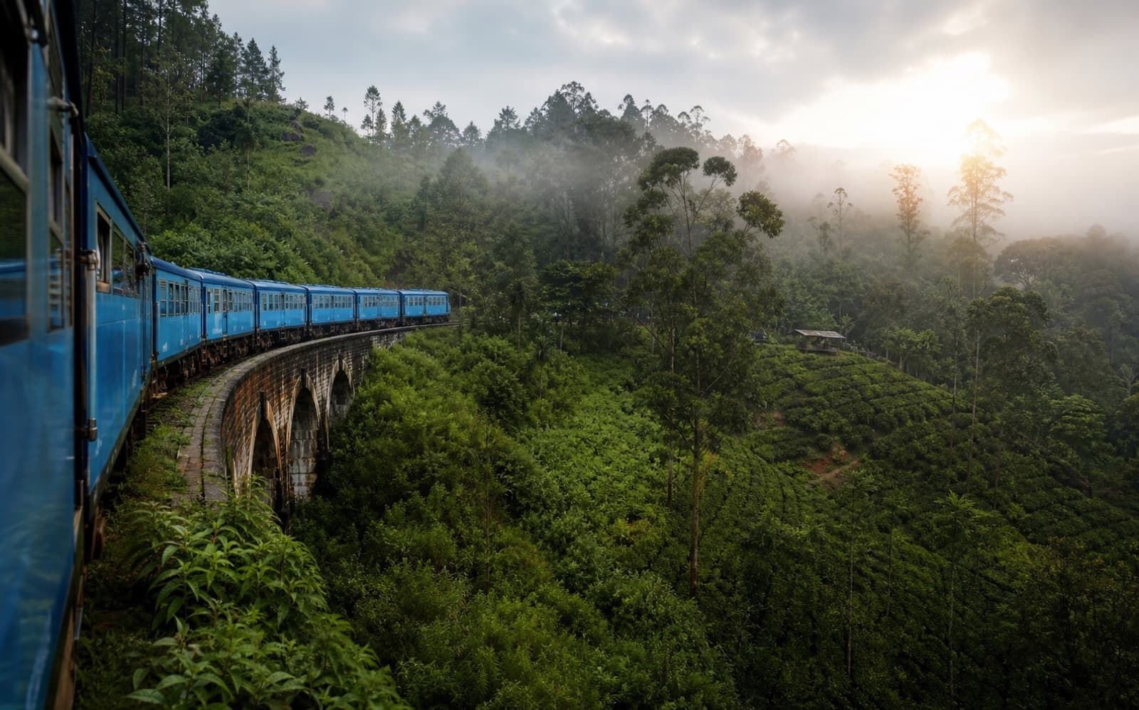 Blue train crossing Sri Lanka's misty tea country hills
